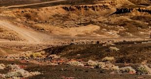 皇家队创始成员、功勋教练尤斯特宣布留任，继续重建之路